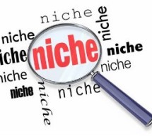 4 Benefits of Finding the Right Niche 4 Benefits of Finding the Right Niche