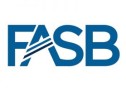 FASB Issues Technical Corrections to Financial Instruments Standard