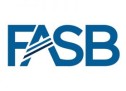 FASB Issues Technical Corrections to Financial Instruments Standard FASB Issues Technical Corrections to Financial Instruments Standard