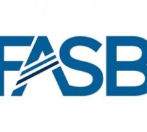 FASB Assessing Efficiency, Effectiveness of GAAP Taxonomy
