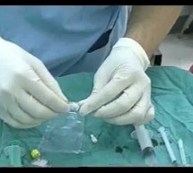 Reasonably Certain Foreseeable Future Events and the Standard of Value Reasonably Certain Foreseeable Future Events and the Standard of Value