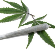 Cannabis Conundrum for Banks Cannabis Conundrum for Banks