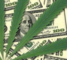 The Pot Stock Renaissance The Pot Stock Renaissance