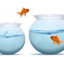 Developing Supportable Attrition Rates in Customer Relationship Valuations Developing Supportable Attrition Rates in Customer Relationship Valuations