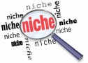 4 Benefits of Finding the Right Niche 4 Benefits of Finding the Right Niche