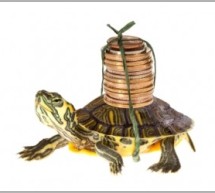 Advisors Overweight Technology, Financials Amid Earnings Concerns: SSGA Advisors Overweight Technology, Financials Amid Earnings Concerns: SSGA