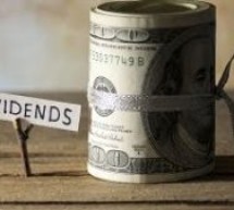An Introduction to Dividends and Dividend Policy for Private Companies An Introduction to Dividends and Dividend Policy for Private Companies