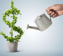 Core Strategies for Organic Growth in Accounting and Financial Services Firms Core Strategies for Organic Growth in Accounting and Financial Services Firms