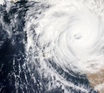 In the Aftermath of Hurricanes Harvey and Irma In the Aftermath of Hurricanes Harvey and Irma