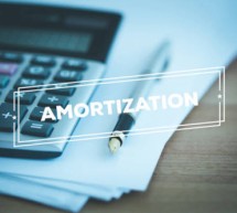 Application of the Tax Amortization