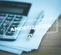 Application of the Tax Amortization Application of the Tax Amortization