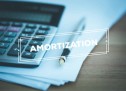 Application of the Tax Amortization Application of the Tax Amortization