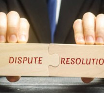 The Role of the Financial Forensic Expert in Dispute Resolution The Role of the Financial Forensic Expert in Dispute Resolution