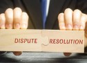The Role of the Financial Forensic Expert in Dispute Resolution The Role of the Financial Forensic Expert in Dispute Resolution