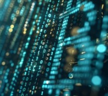 The Meritocracy of an Unregulated Market The Meritocracy of an Unregulated Market