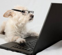 An Old Dog Learns a New Trick An Old Dog Learns a New Trick