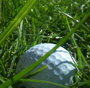 grass-golfball